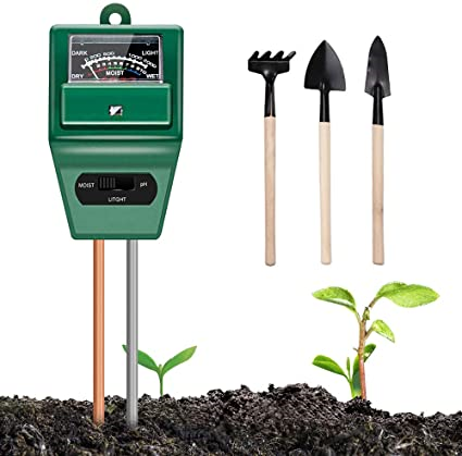 Plant Thermometer 